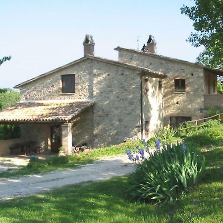 Agriturismo Frallarenza Ficulle Kültér fotó