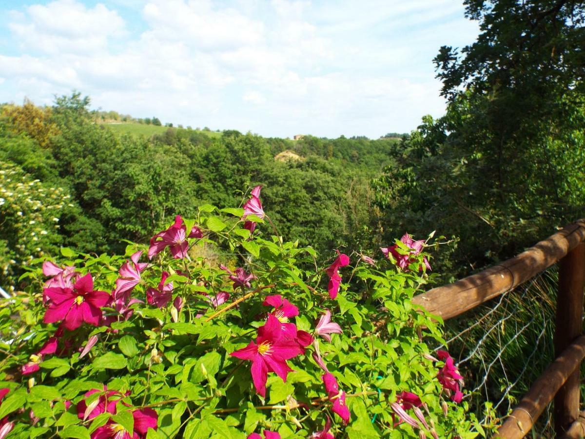 Agriturismo Frallarenza Ficulle Kültér fotó