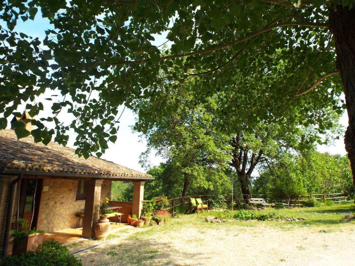 Agriturismo Frallarenza Ficulle Kültér fotó