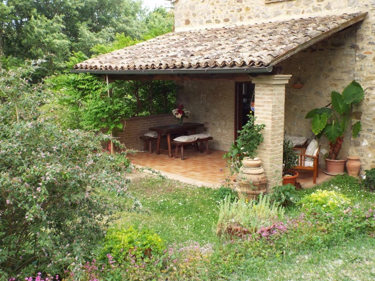 Agriturismo Frallarenza Ficulle Kültér fotó