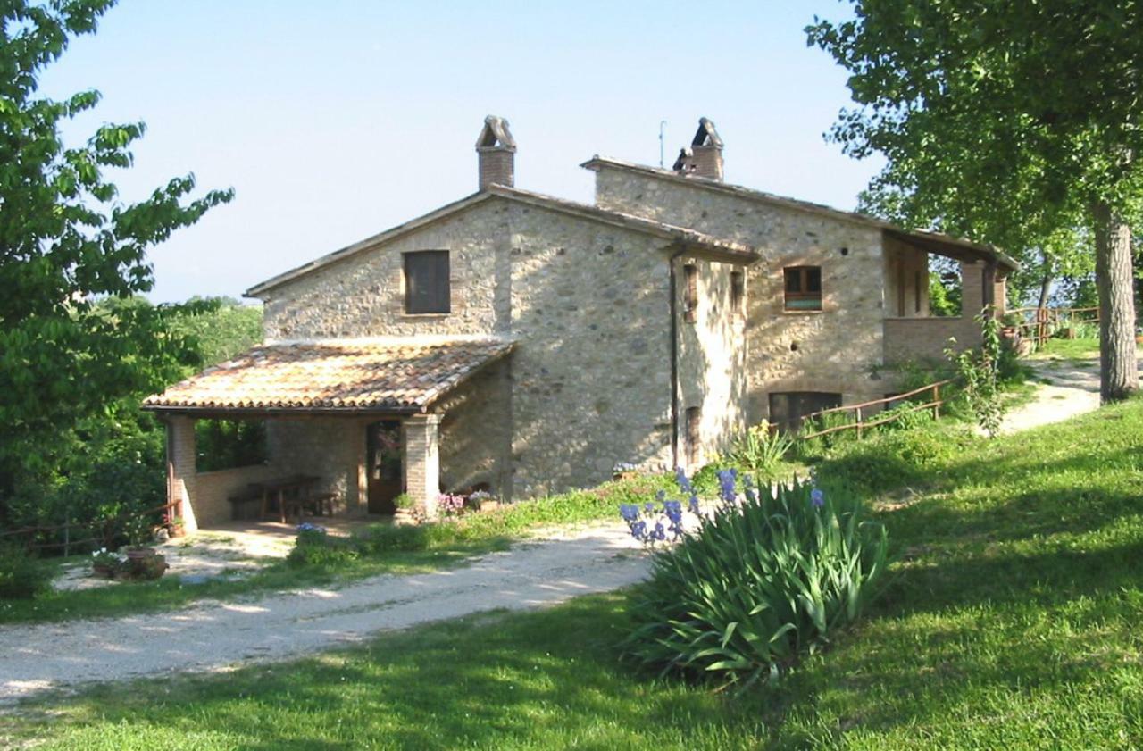 Agriturismo Frallarenza Ficulle Kültér fotó
