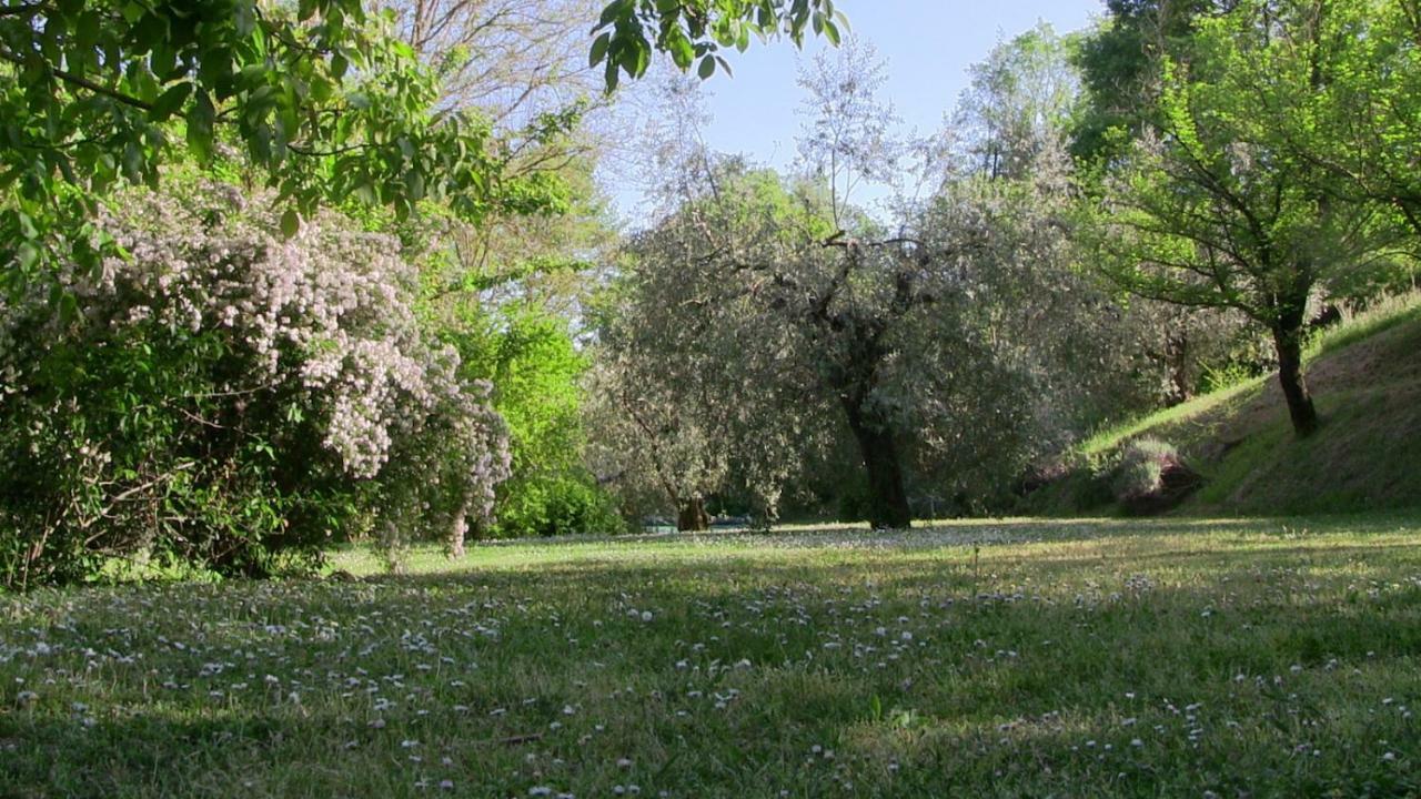 Agriturismo Frallarenza Ficulle Kültér fotó