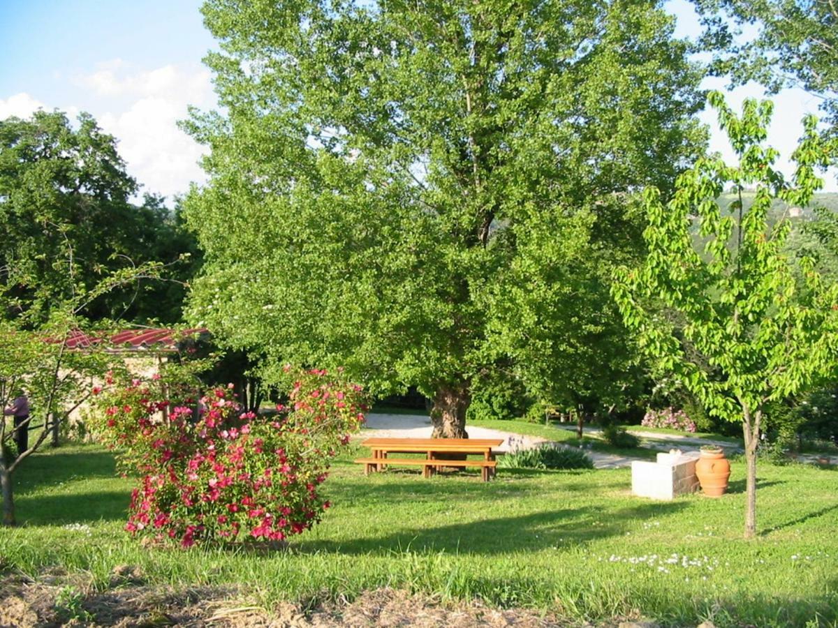 Agriturismo Frallarenza Ficulle Kültér fotó