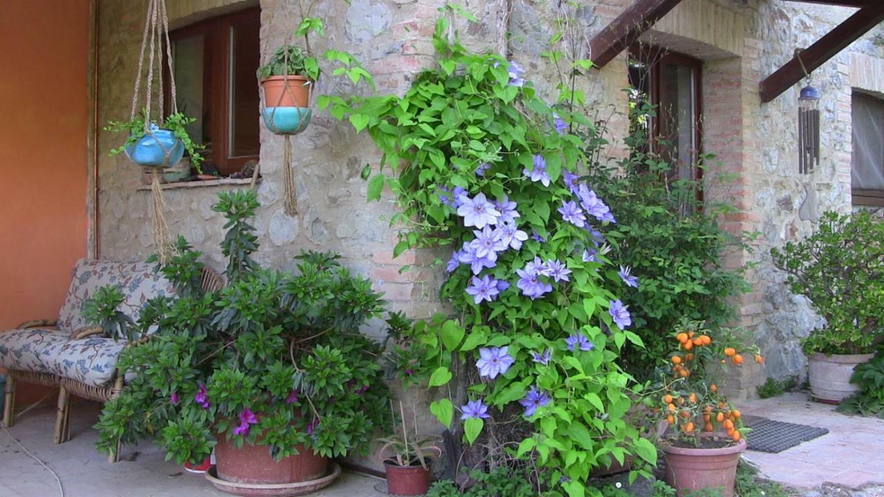 Agriturismo Frallarenza Ficulle Kültér fotó